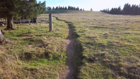 scenic path through a mountain pasture
