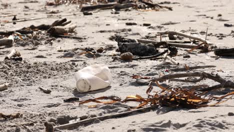 plastic pollution on sunny beach with scattered trash and seaweed, environmental issue