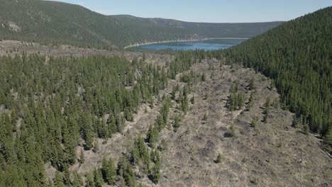 Vista-Aérea-De-Un-Bosque-Talado-En-La-Pine,-Oregon