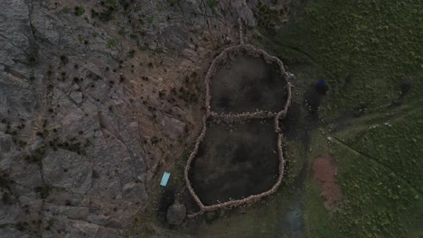 Aerial-top-view-over-a-small-hut-surrounded-by-stone-boundary-walls-beside-inca-terrace-farms-in-Bolivian-Andes-with-narrow-canyon-by-the-side