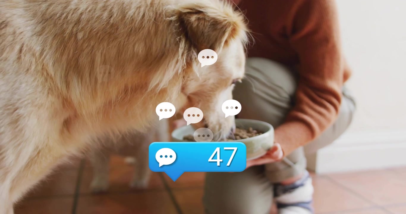 Cura degli animali domestici che mostra un retriever che annusa e mangia da una ciotola mentre il conteggio dei commenti aumenta, con una donna che tiene la ciotola