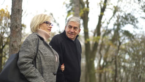 elderly couple taking a walk in the park