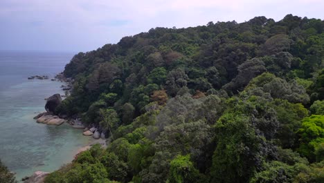 Turquoise-water-gently-washing-a-sandy-beach-surrounded-by-granite-rocks-and-lush-tropical-vegetation