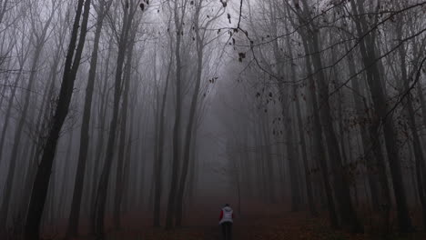 Fog-in-the-middle-of-a-forest-road-surrounded-by-tall-trees-and-a-woman-going-uphill