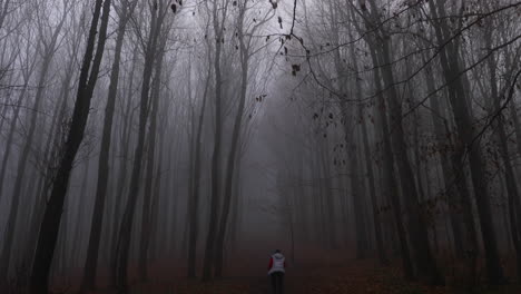 fog in the middle of a forest road surrounded by tall trees and a woman going uphill