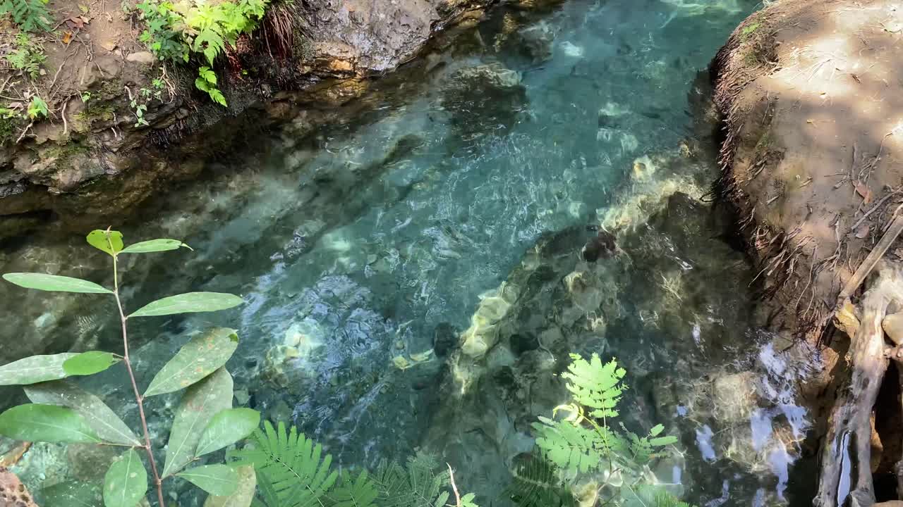 Kali Umbul Gumuk in Magelang, Indonesia, a river with clear springs showing the riverbed