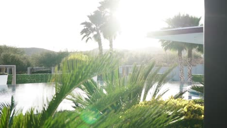 toma reveladora en cámara lenta de una piscina privada con follaje brillante y llamaradas solares.