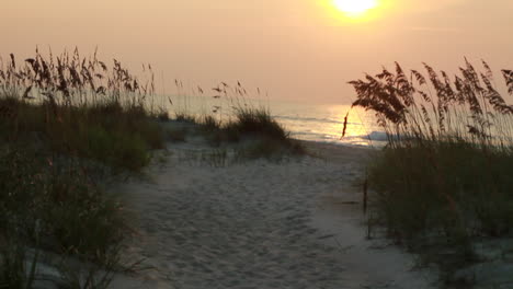 sunrise on a peaceful beach