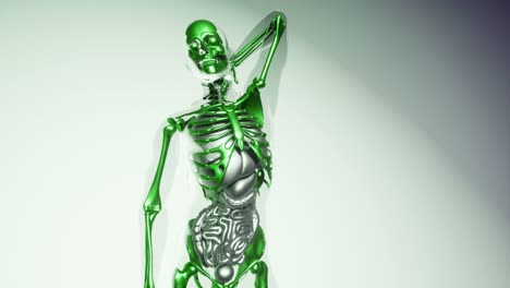 Human-Skeleton-Bones-Model-with-Organs