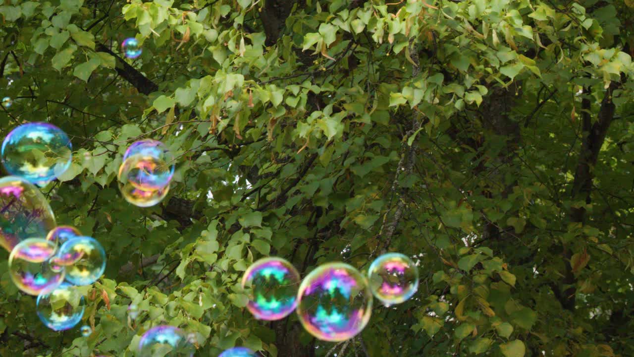 Bolle di sapone iridescenti e colorate fluttuano su uno sfondo di vivaci foglie verdi alla luce del giorno