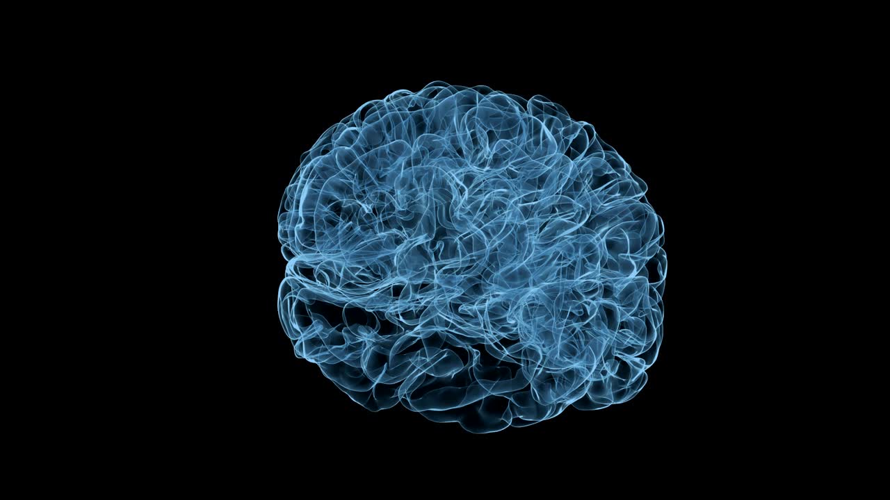 Holographic projection of the rotating larger part of the brain.