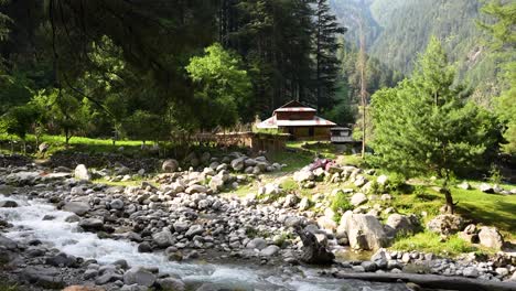 Mountain-stream-flows-past-a-house-surrounded-by-lush-greenery-and-tall-pine-trees