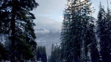 Conduciendo-A-Lo-Largo-Del-Bosque-De-Cuento-De-Hadas-En-Invierno-Hacia-Las-Majestuosas-Montañas-Tatra-Polonia