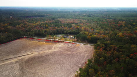 Deforestación-De-Bosques-Mixtos-Naturales-Tierras-Despejadas-Para-Monocultivos-Destructivos