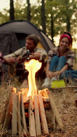 friends camping by the campfire