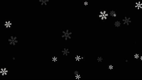 snowflakes on black background