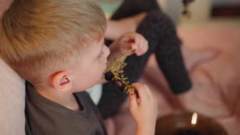 close up of twins sitting on bed enjoying fresh black berries together with brown glass plate nearby relaxed atmosphere soft lighting indoor setting casual moment of bonding and healthy snacking