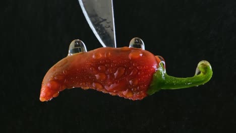 검은색 배경 앞에 칼 끝에  ⁇ 은 칠리 페퍼에 가까운 회전  ⁇