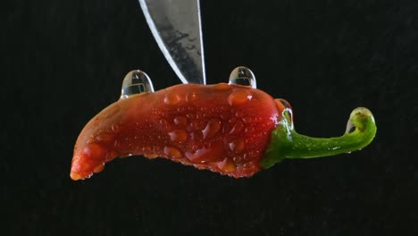 close up rotating zoom on a wet red chili pepper on the tip of a knife in front of a black background