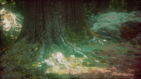 beautiful green moss on the floor in the forest