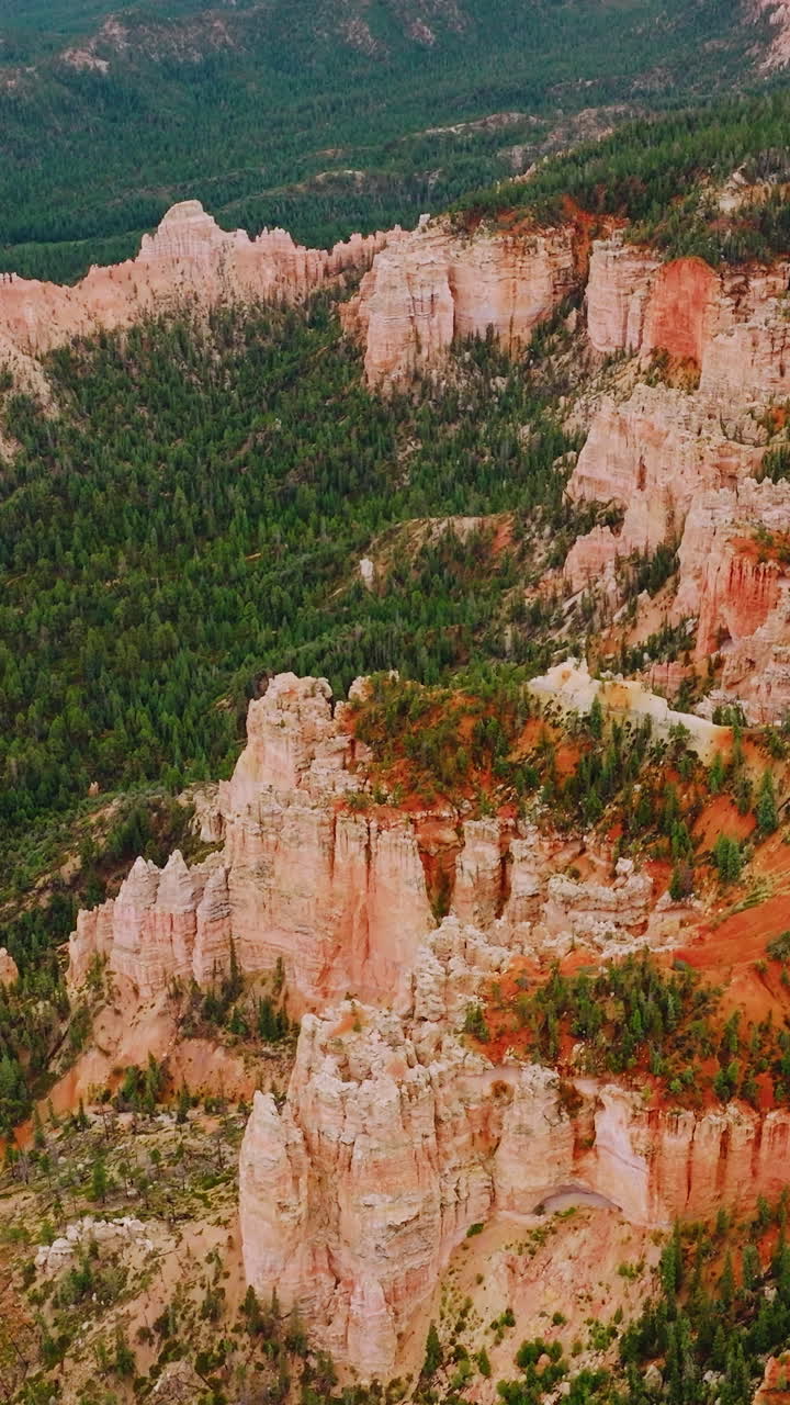 Pine forests covering the land around amazing canyons. Scenic panorama of American National park in Utah. Top view. Vertical video