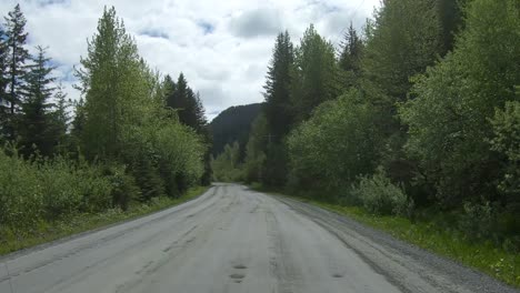 looking out the back of the car while driving by trees and spruce creek on resurrection bay on lowell point