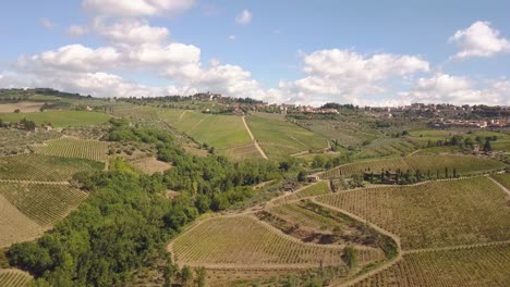 Circulair-Droneshot-Volador-Sobre-Campos-De-Uva-En-Toscana,-Italia-4k