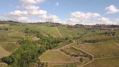circulair droneshot volador sobre campos de uva en toscana, italia 4k