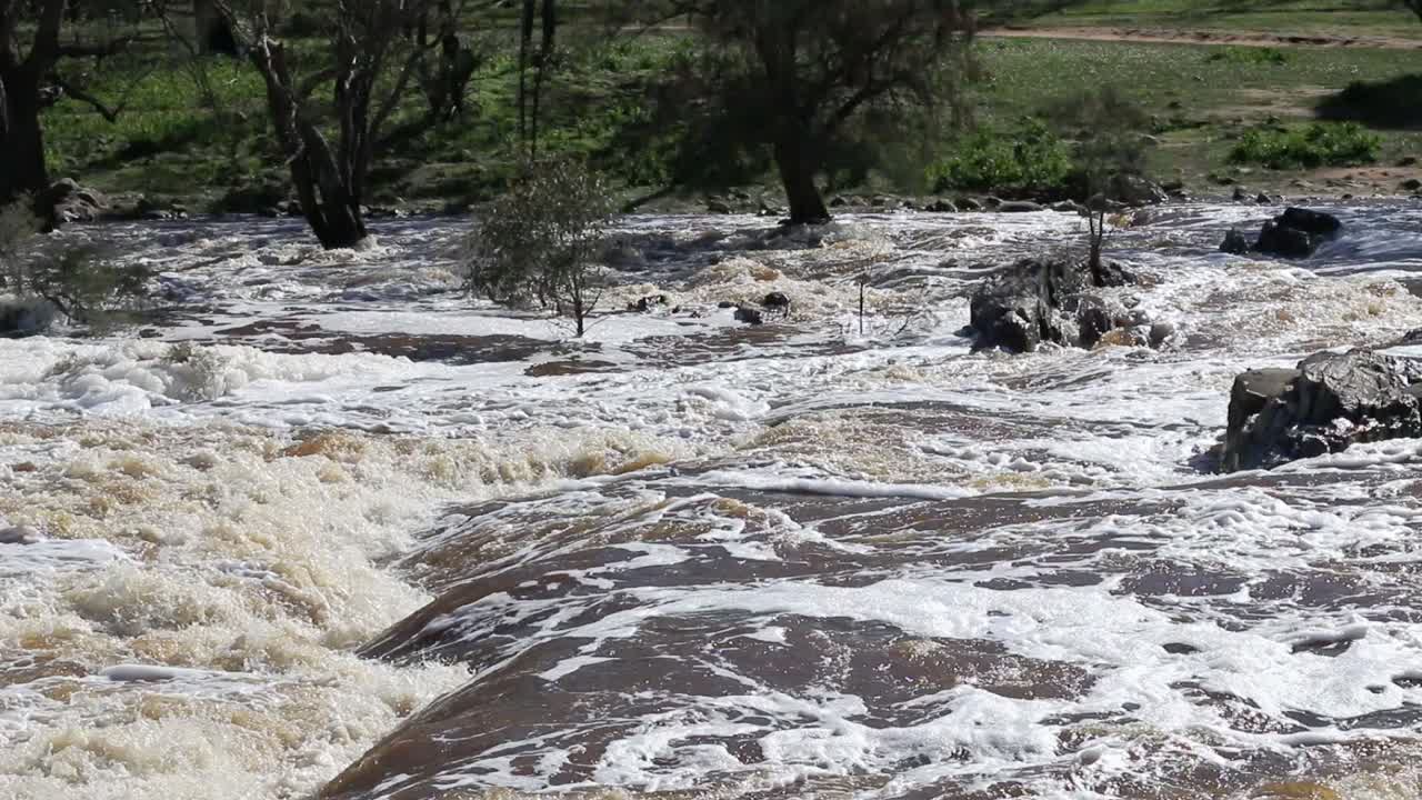 폭우가 내린 후 백조 강 퍼스 물이 종래 급류 위로 돌진합니다.