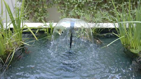 water bubbling over smooth, reflective sphere in a garden pond