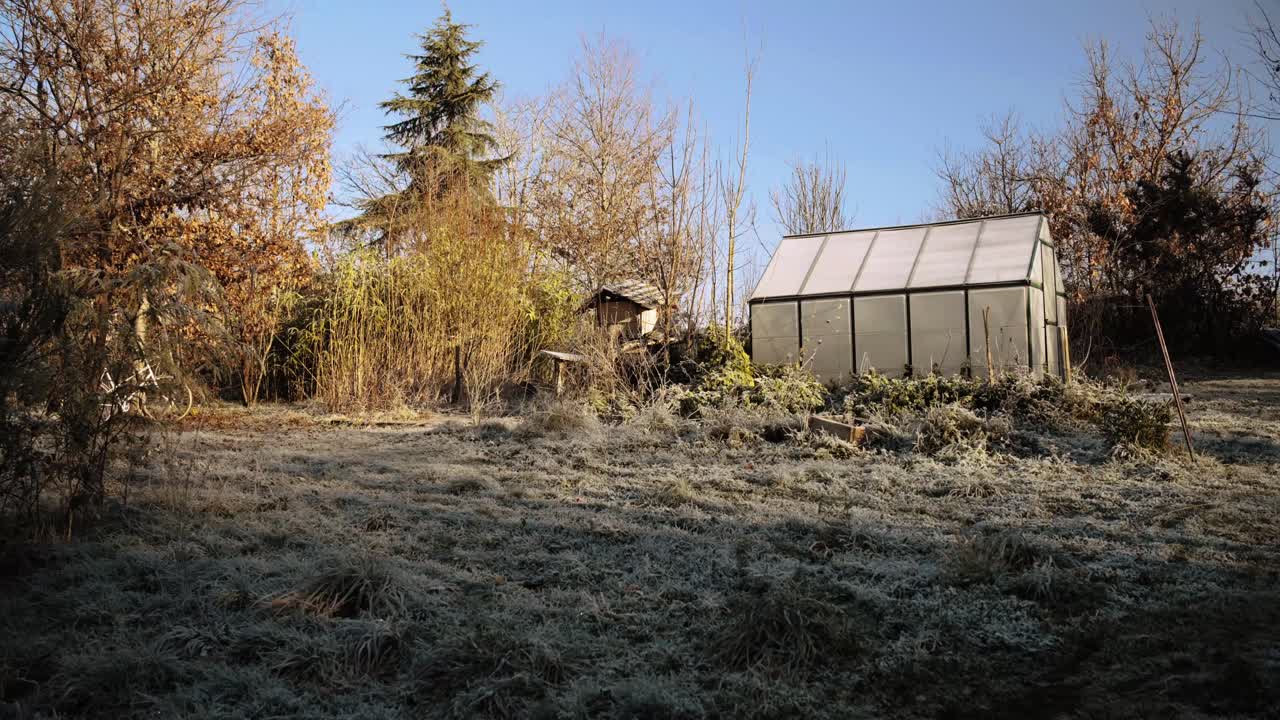 Winter scene of natural garden with greenhouse, representing seasonal beauty and resilience.