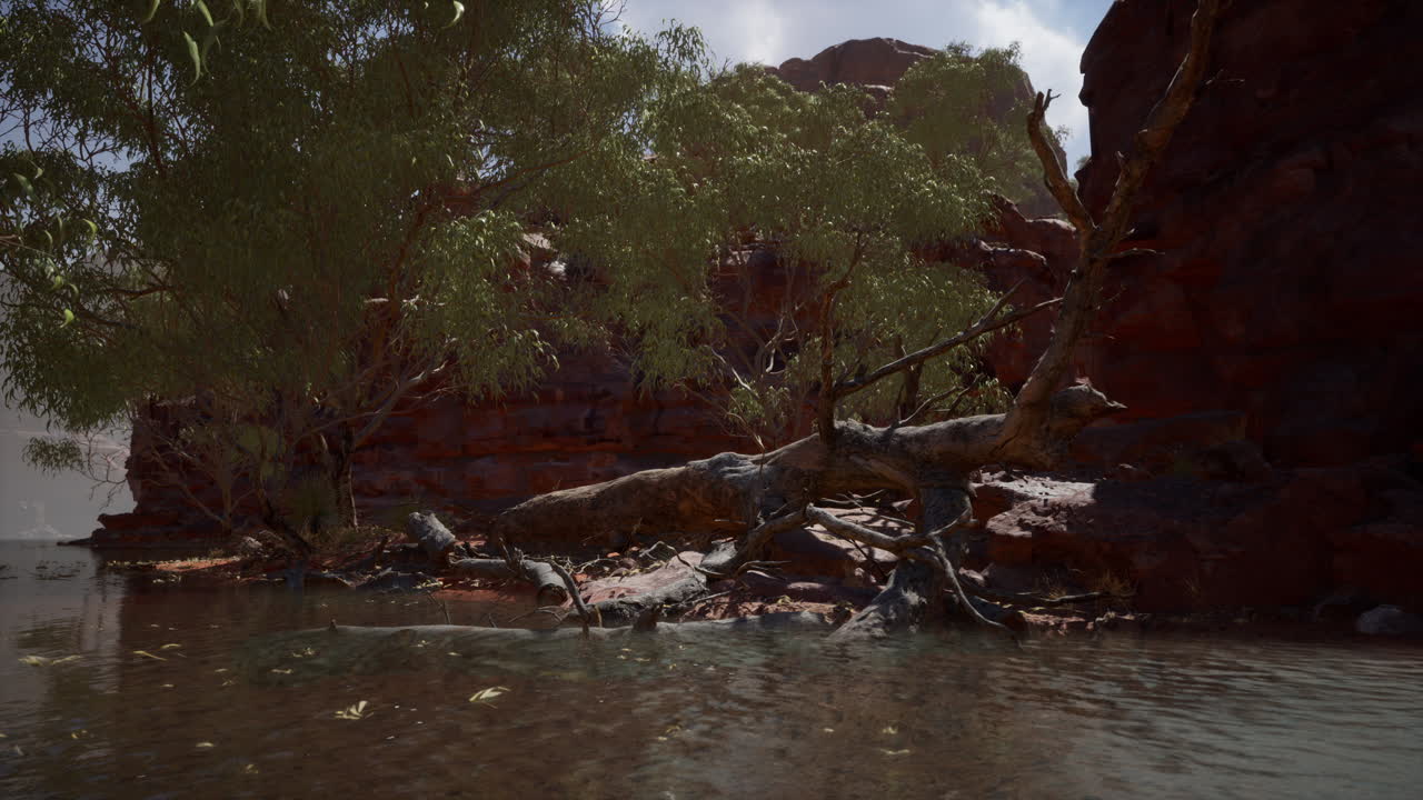 redwall reflection in Colorado River