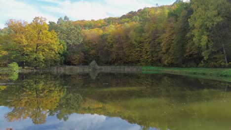 Una-Vista-Del-Bosque-Colorido,-Que-Tiene-Todos-Los-Colores-Del-Otoño,-Desde-La-Superficie-Del-Estanque