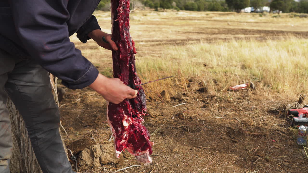 Close-up of male hands using a knife to trim a deer carcass.