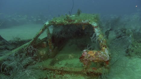 Coche-Incrustado-De-Arrecife-En-La-Arena