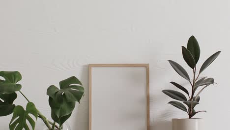 wooden frame with copy space on white background with plants against white wall