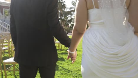 groom and bride holding hands, having a walk, and celebrating their wedding