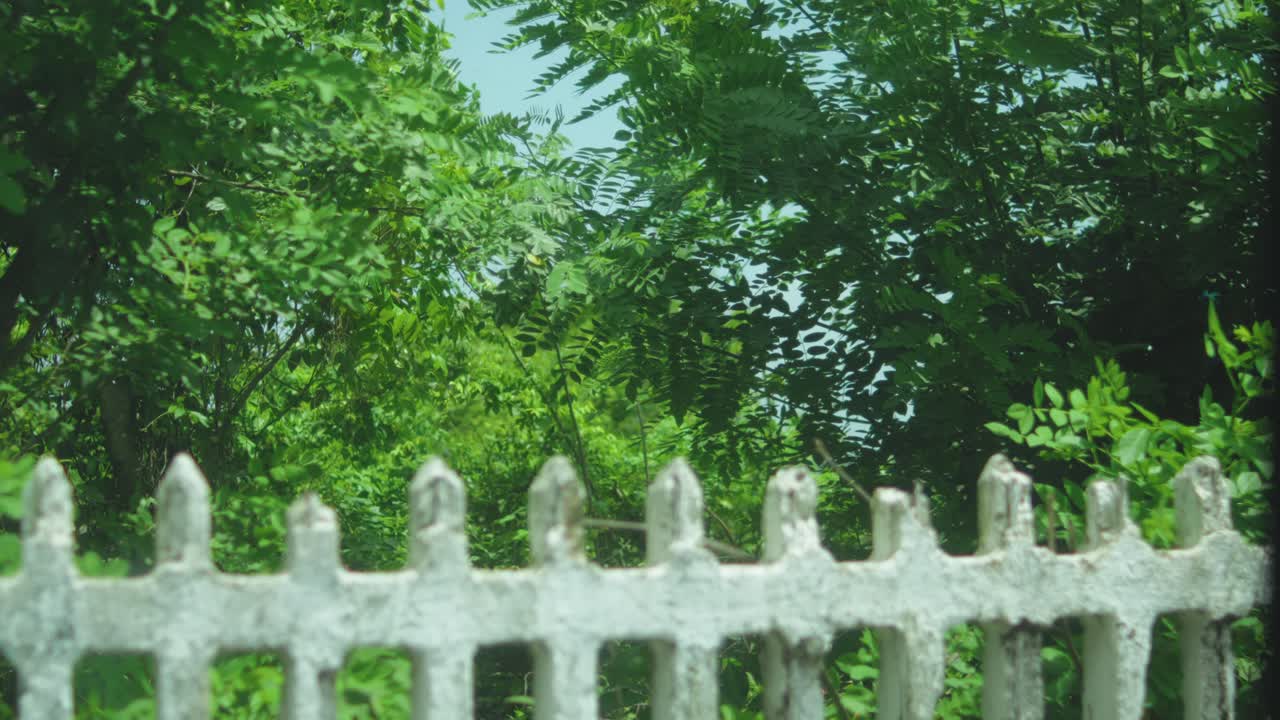 Static shot of a white fence with green foliage moving slightly in the wind