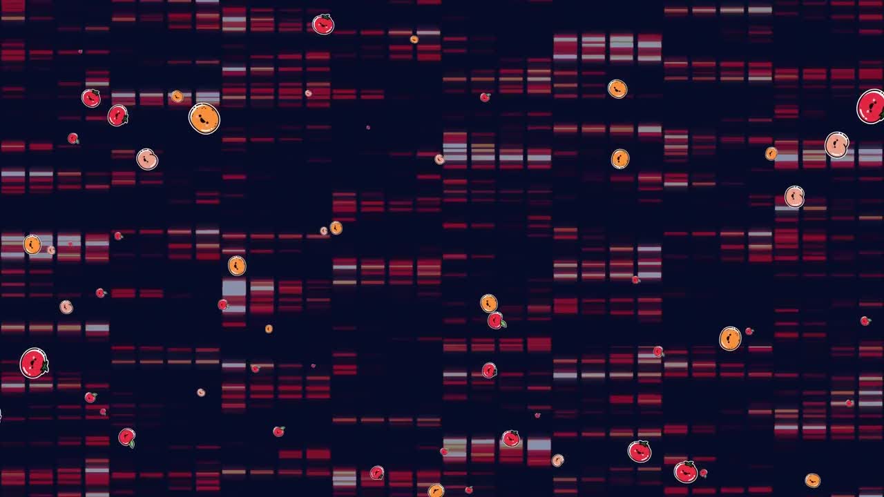 Animation of fruit icons over shapes