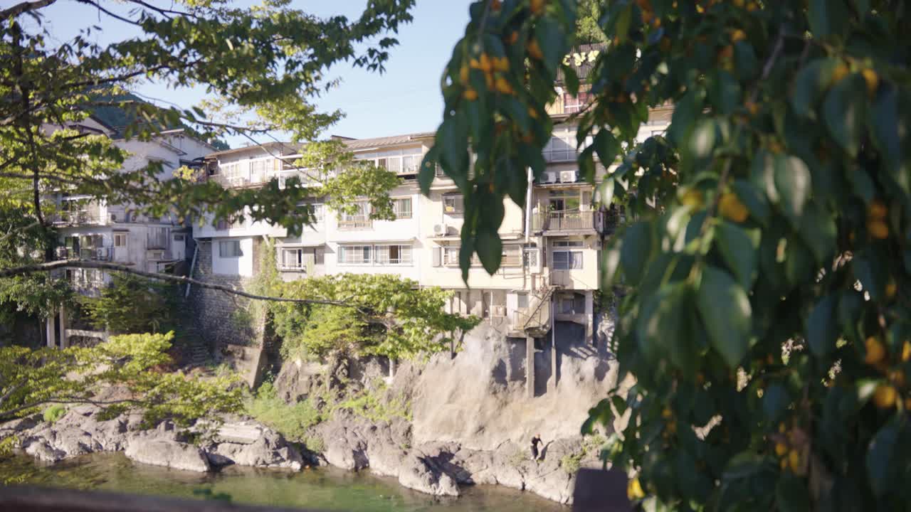 일본 기후현 구조 하치만 요시다 강변의 감나무