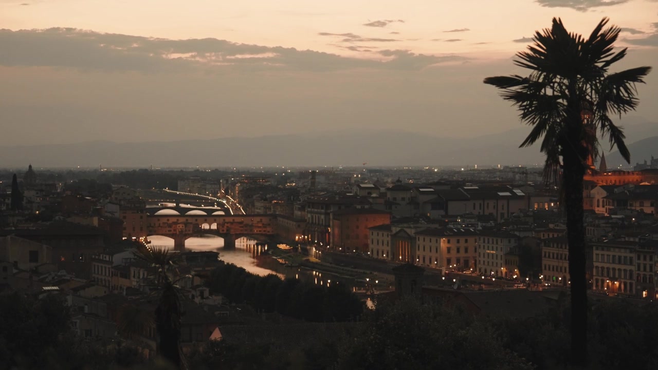 Veduta del tramonto su Roma, Italia, con un alto pino marittimo e lo skyline storico della città