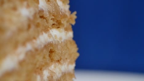 close-up of a layered cake slice