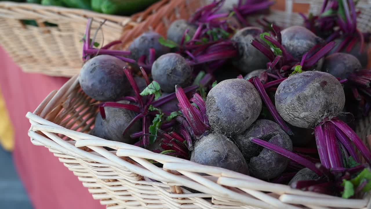 지역 재배 된 비트는 uae의 농업 축제에서 전시됩니다.
