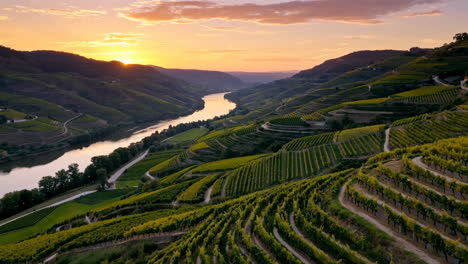 sunset over the douro valley vineyards