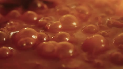 burbujas que se elevan desde el fondo de una sartén llena de un líquido para hervir