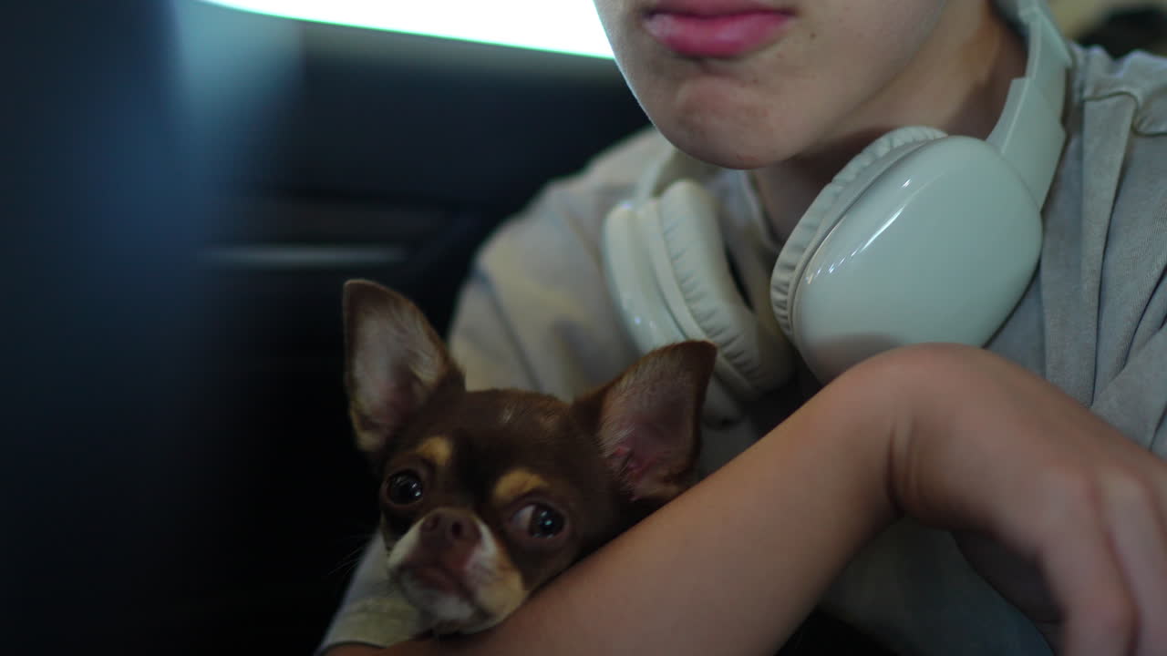 Young boy kissing his chihuahua dog