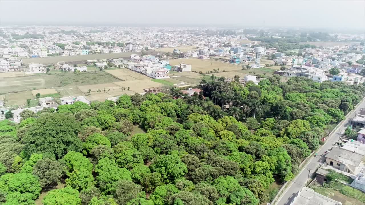 Vista aerea di un'area residenziale con alberi verdi lussureggianti e vari edifici
