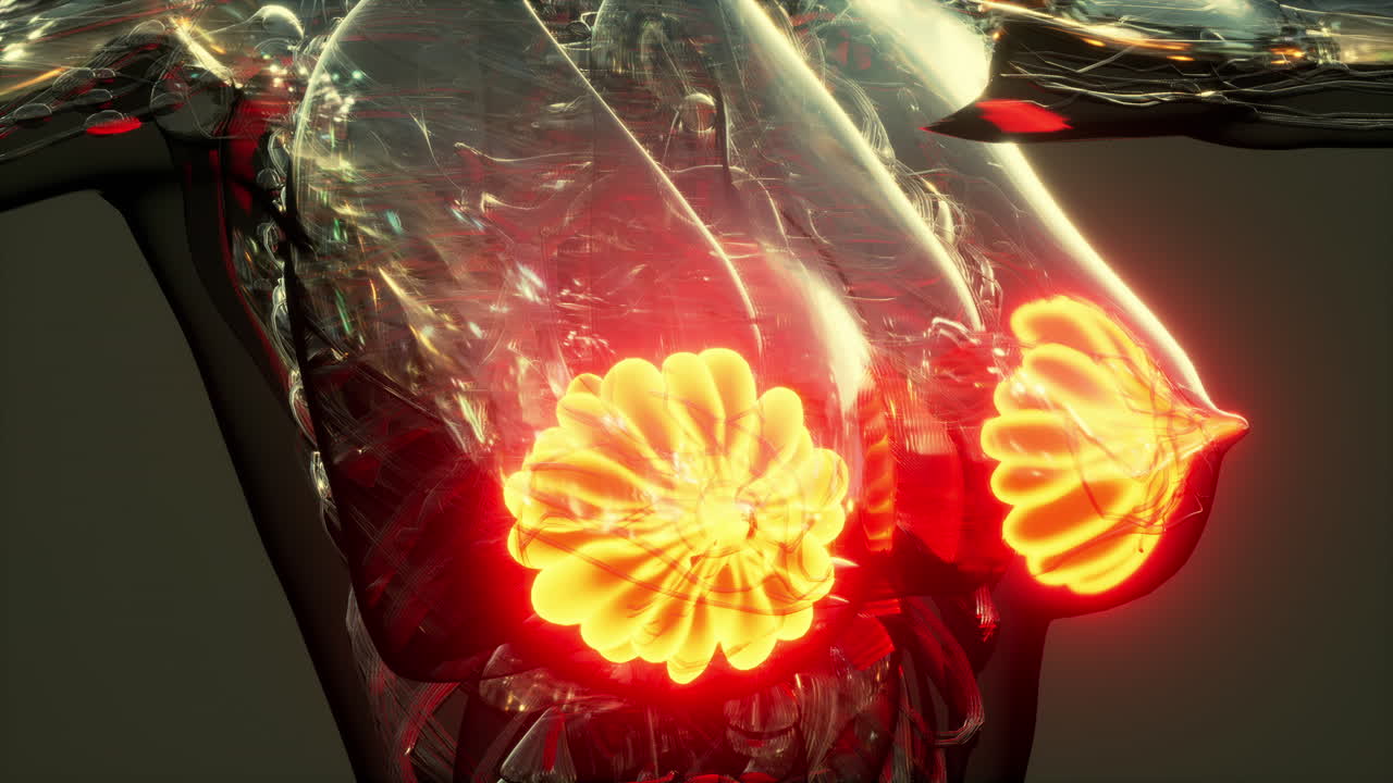 빛나는 유방선과 함께 인간 몸의 과학 해부학