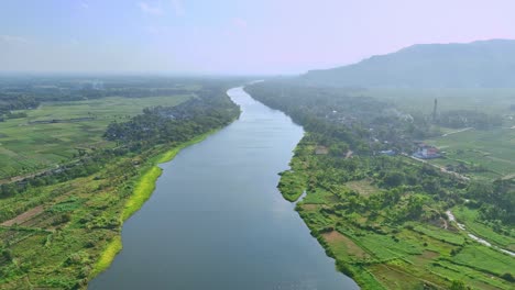 picturesque big river in lush wetlands from an aerial view. 4k drone video.