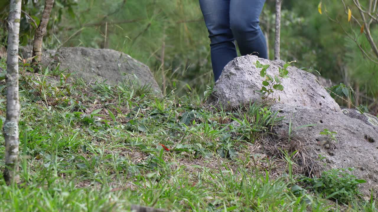 청바지와 하이킹 신발을 입은 여자가 숲 한가운데에서  ⁇ 고 탐험하고 있습니다.